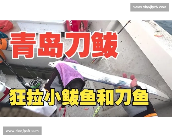 辽宁钓友钓 20 斤大鲅鱼反被咬伤 海洋 隐形杀手 暗藏风险 辽宁钓友钓 20 斤大鲅鱼反被咬伤 海洋 隐形杀手 暗藏风险