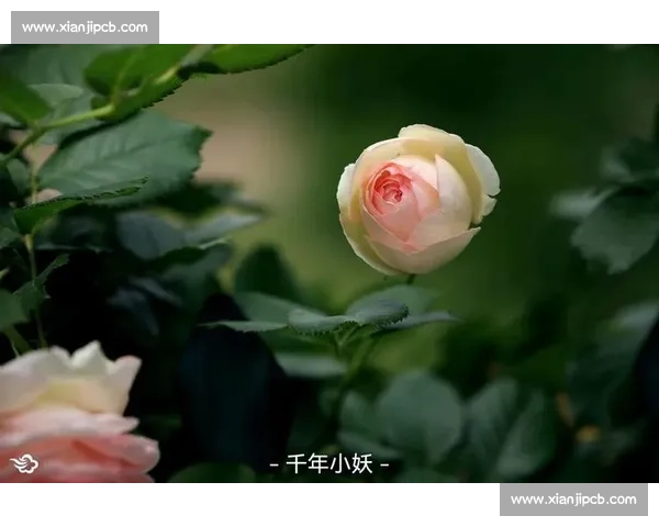 风格焕新,心境重启:解锁生活的多维可能 风格焕新,心境重启:解锁生活的多维可能